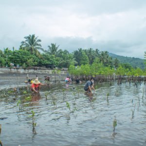 Mangrove Restoration in Northern Mindanao and La Union