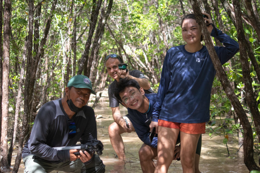 Philippine mangroves conservation through tech: Mangrove.World