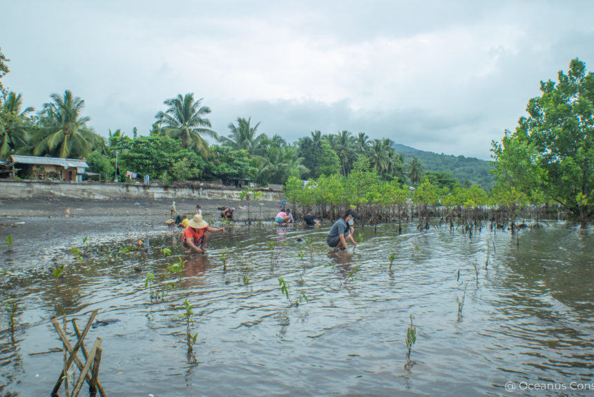 Mangrove Restoration in Northern Mindanao and La Union