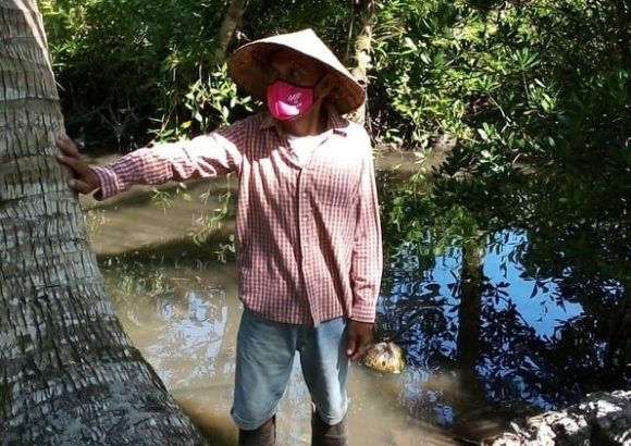 Mudcrab livelihood