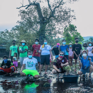 Mangrove restoration work with communities