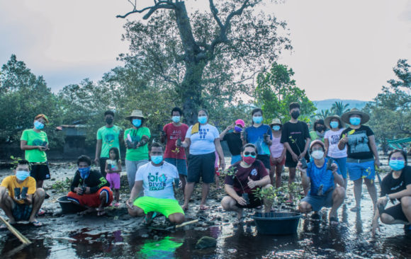 31-1-compressed-860x575 Mangrove restoration work with communities