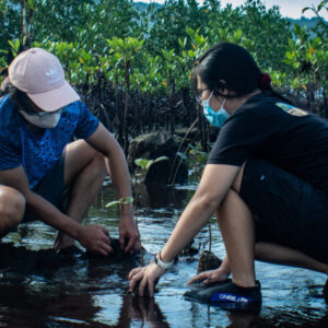 Mangroves matter, it’s Generation Restoration