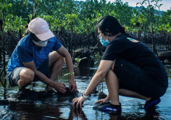 Mangroves matter, it’s Generation Restoration