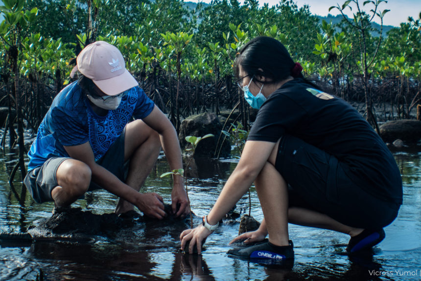 Mangroves matter, it’s Generation Restoration