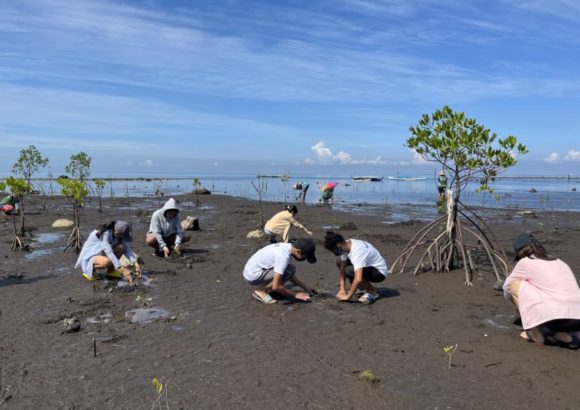 Mangrove Restoration in Salay, Misamis Oriental