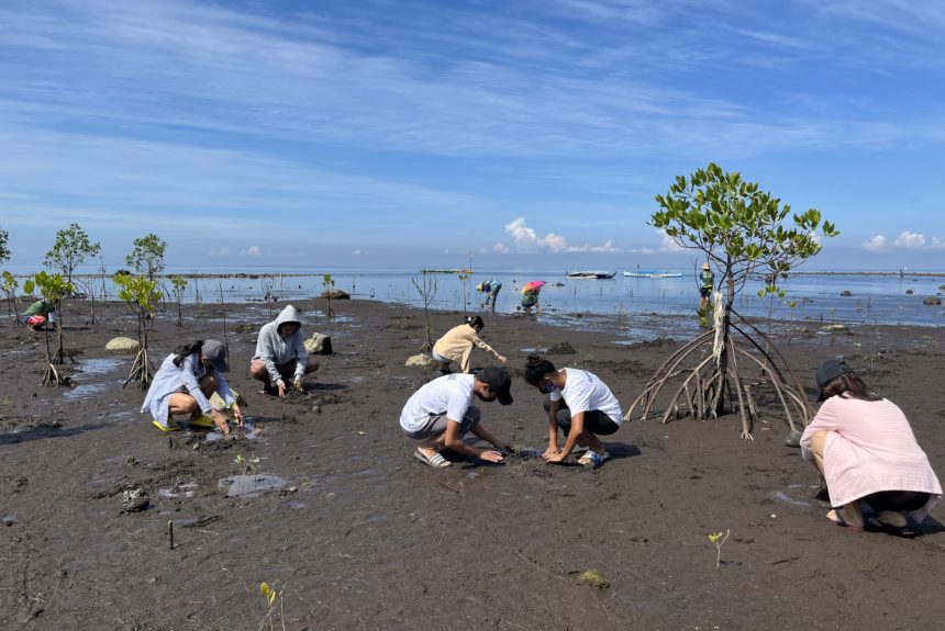 Mangrove Restoration in Salay, Misamis Oriental