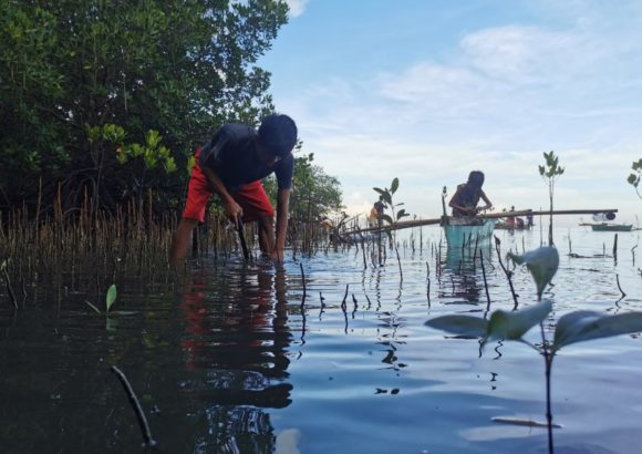 Mangroves matter, it’s Generation Restoration