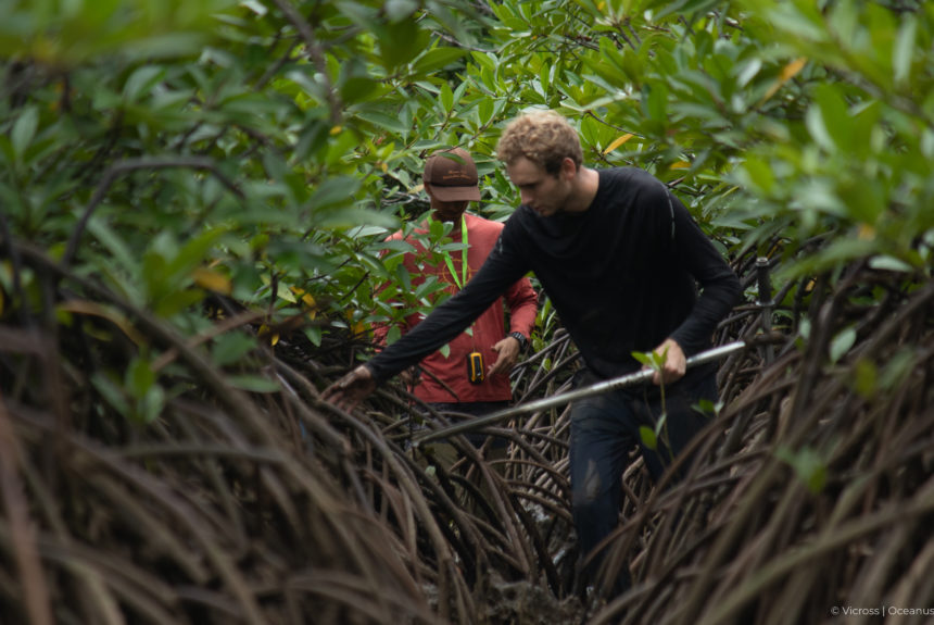 Days in the Field: A first-hand account on environmental volunteering and internship experience