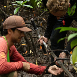 Blue Carbon Ecosystems:Climatological and Socio-economic Impacts of Mangrove Restoration in Cagwait, Surigao del Sur, Philippines