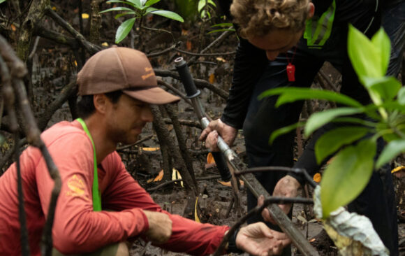 Blue Carbon Ecosystems:Climatological and Socio-economic Impacts of Mangrove Restoration in Cagwait, Surigao del Sur, Philippines