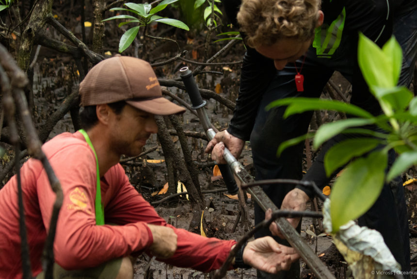 Blue Carbon Ecosystems:Climatological and Socio-economic Impacts of Mangrove Restoration in Cagwait, Surigao del Sur, Philippines