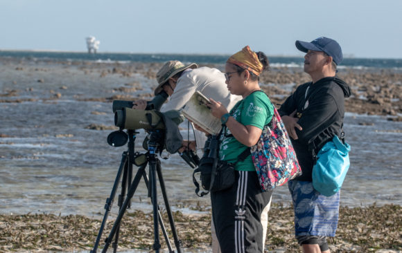 Community-led mangrove and migratory bird conservation project updates