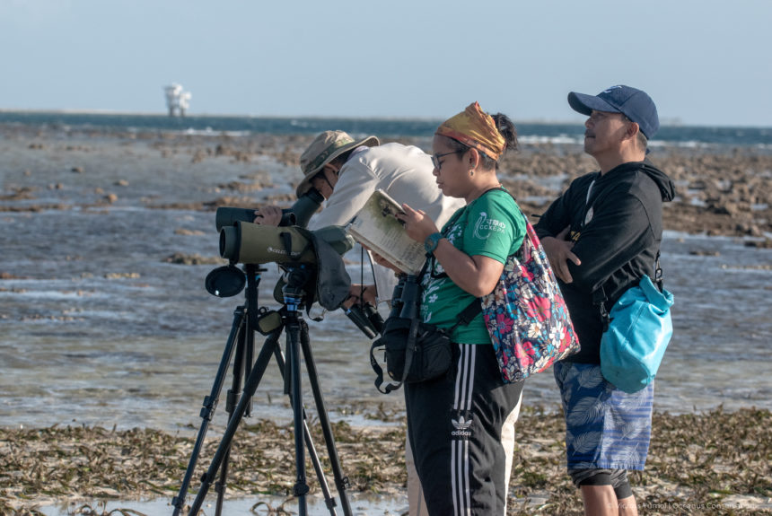 Community-led mangrove and migratory bird conservation project updates