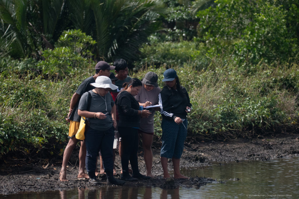 field assessment for the CBEMR training