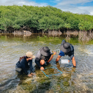 Project MaSANAYAN community partners assess seagrass