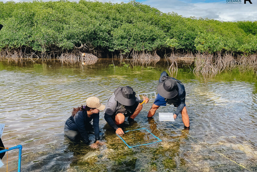 Project MaSANAYAN community partners assess seagrass
