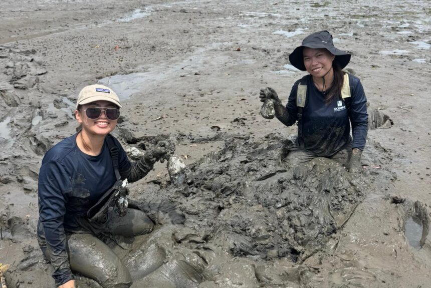Beyond Fieldwork: Lessons from our Oceanus Conservation Internship